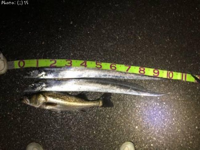 ���������������Х�