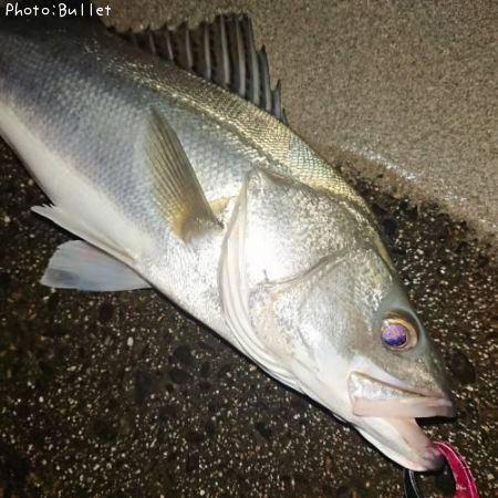 �����Х�