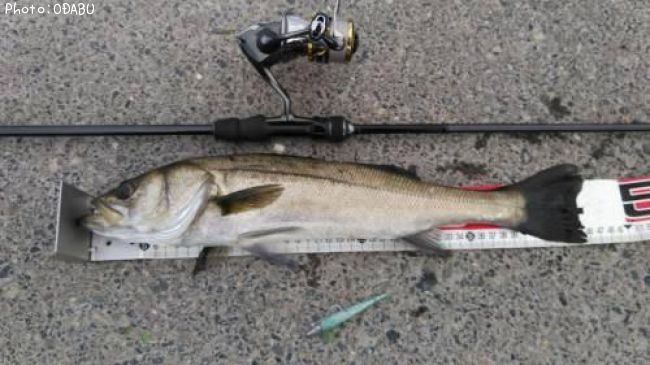 �����Х�