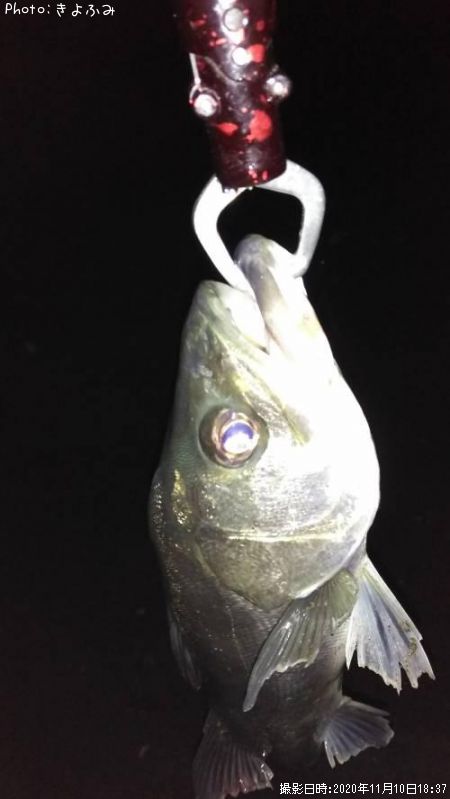 �����Х�