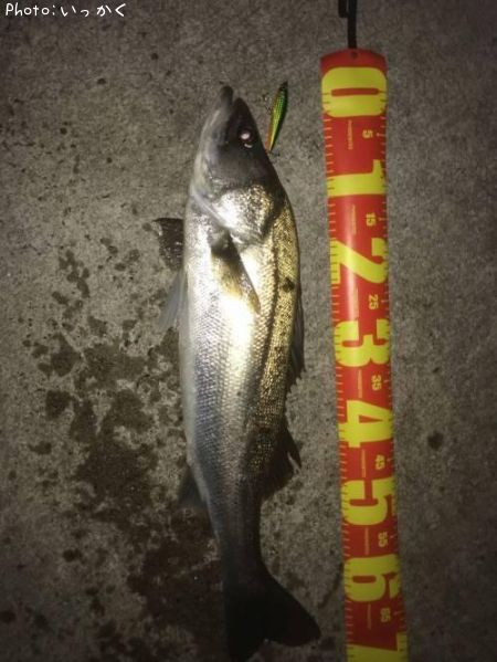 �����Х�