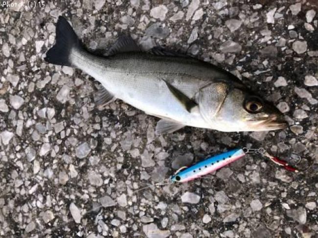 �����Х�