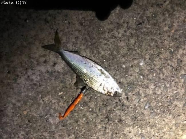 ���Υ���