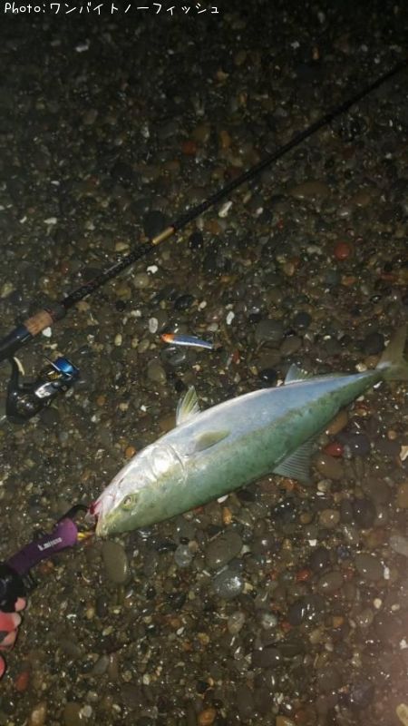 ���ʤ�����