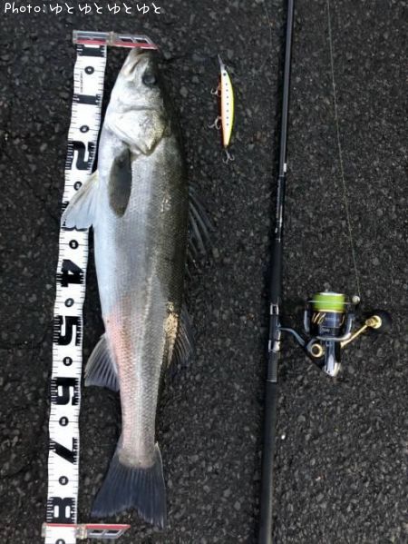 �����Х�