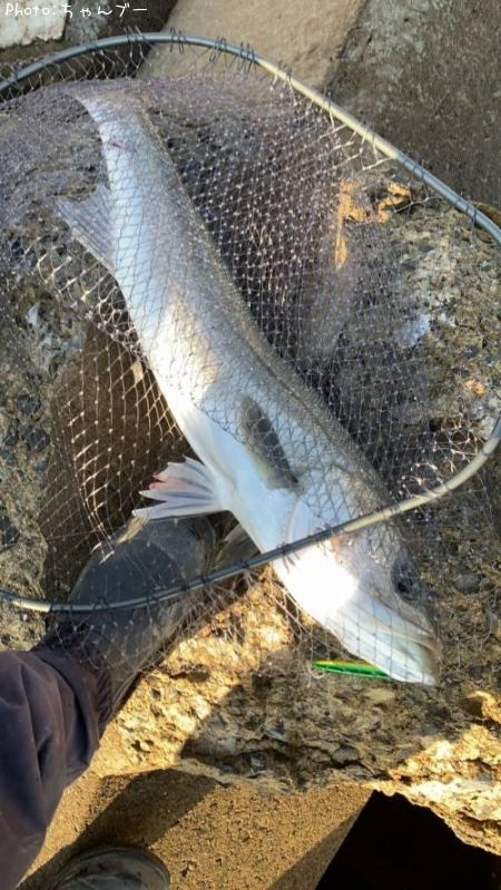 �����Х�