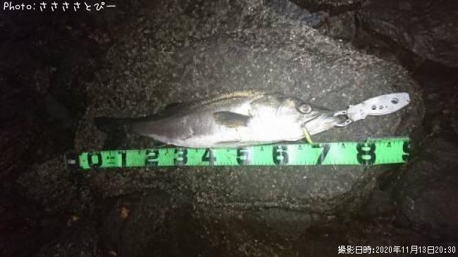 �����Х�