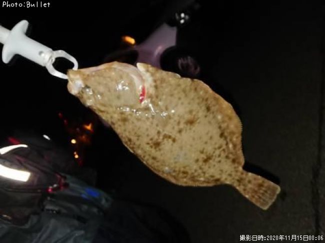 �������쥤