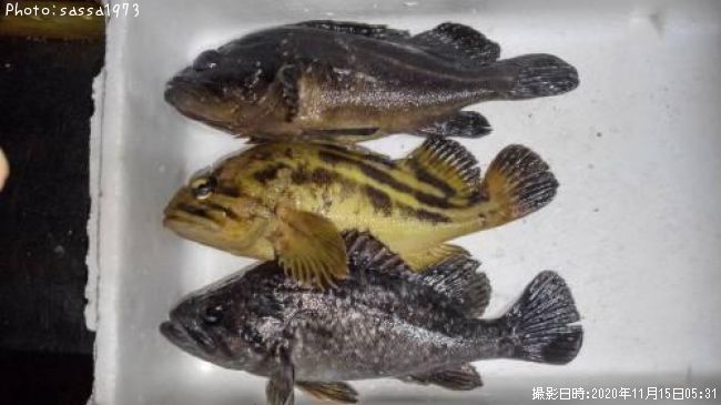 ���ޥ���