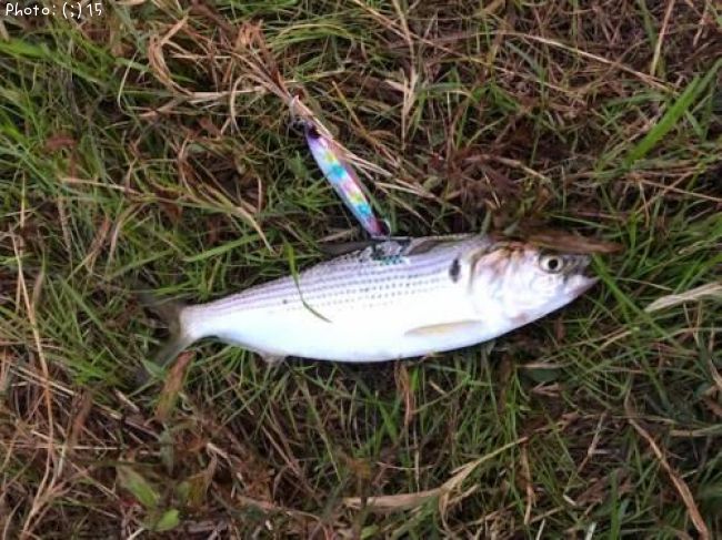 ���Υ���