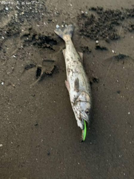 �����Х�