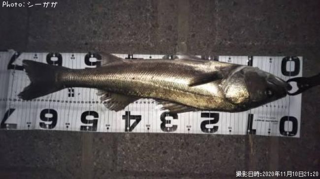 �����Х�