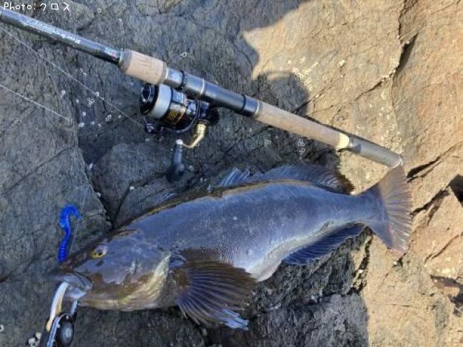 �����ʥ�