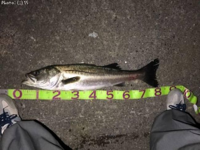 �����Х�