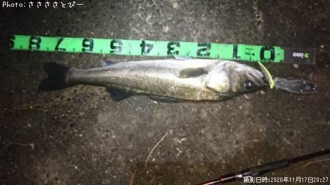 �����Х�