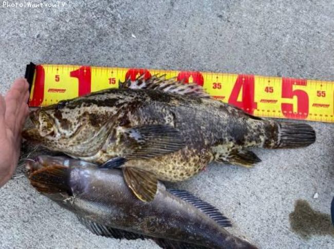 �����Υ���Х�