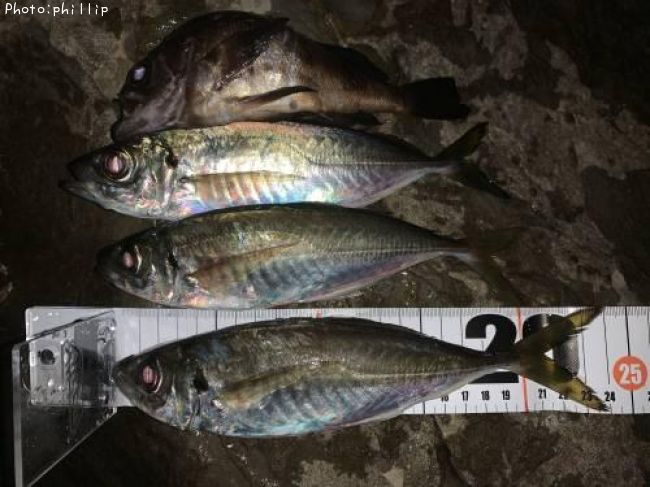 ��������Х�