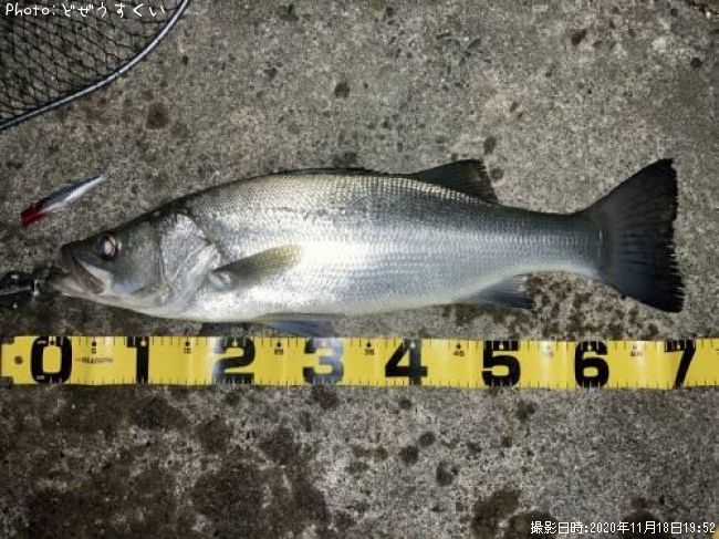 �ҥ饹����