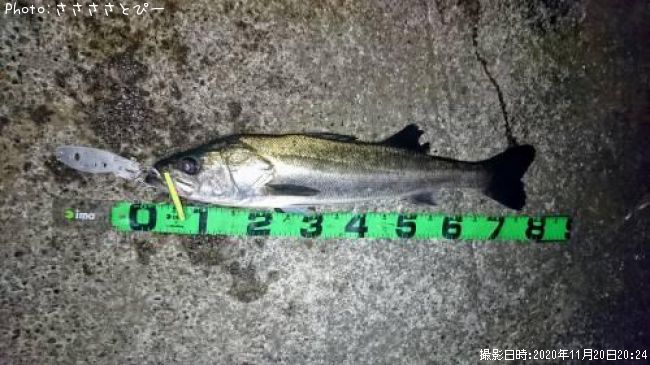 ��󥫡������Х�