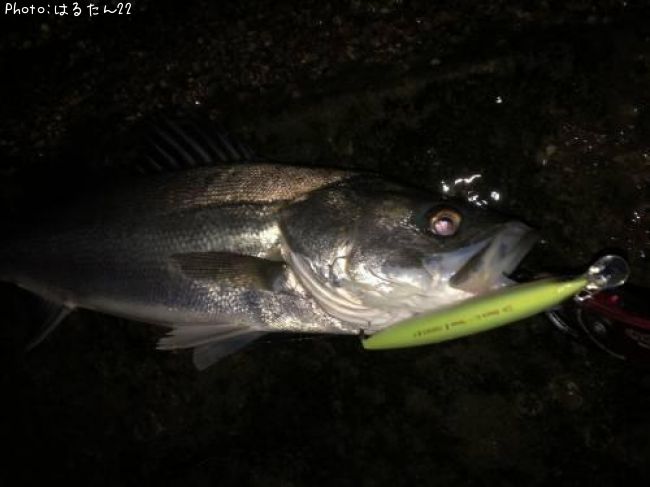 �����Х�