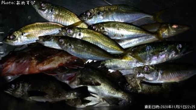 ��������Х롢���������С�������