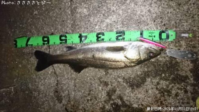 �����Х�