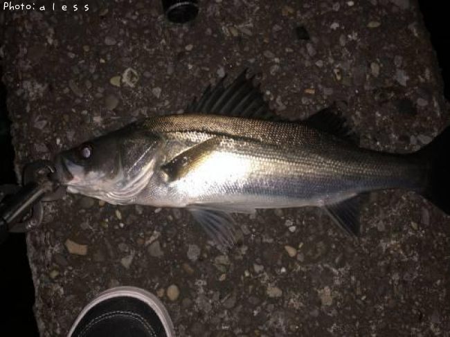 �����Х�