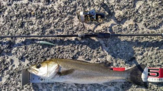 �����Х�