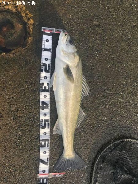 �����Х�