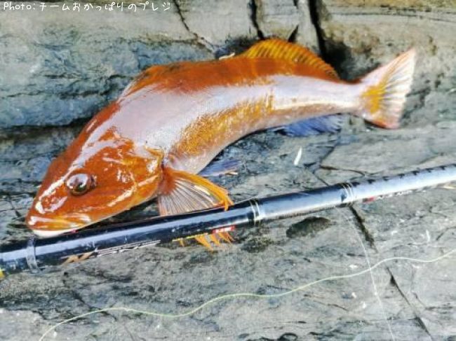 �����ʥ�