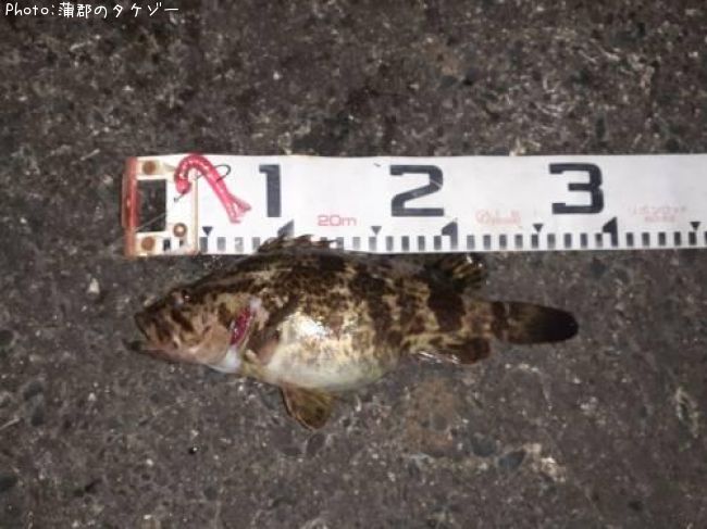 �����Υ���Х�ǥ��