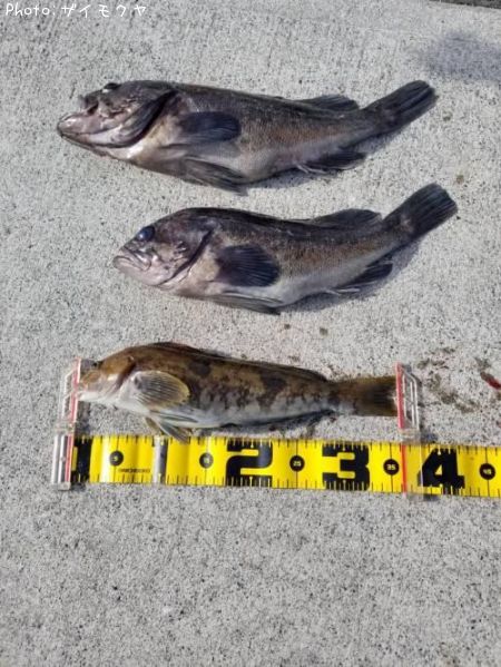 �����ʥ�