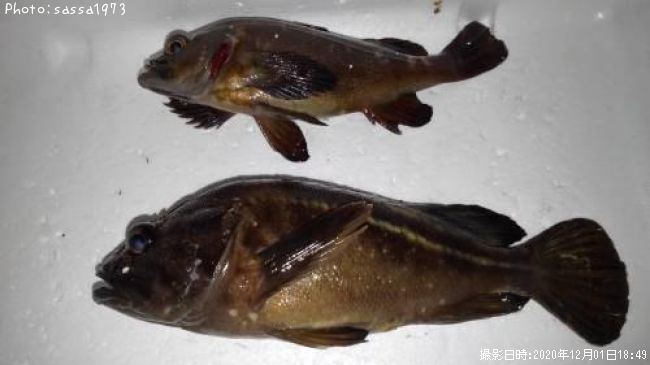 ���ޥ���