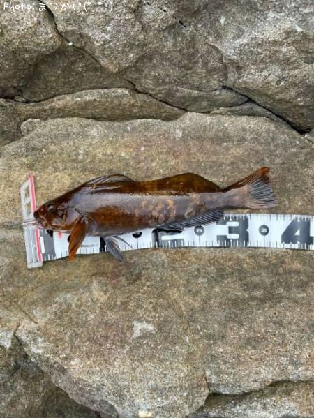 �����ʥ�