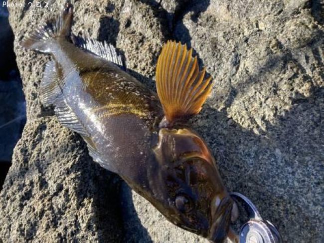 �����ʥ�