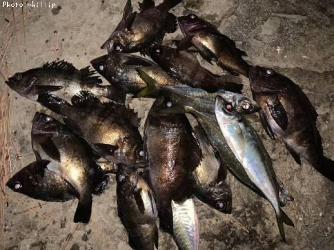 ��������Х�