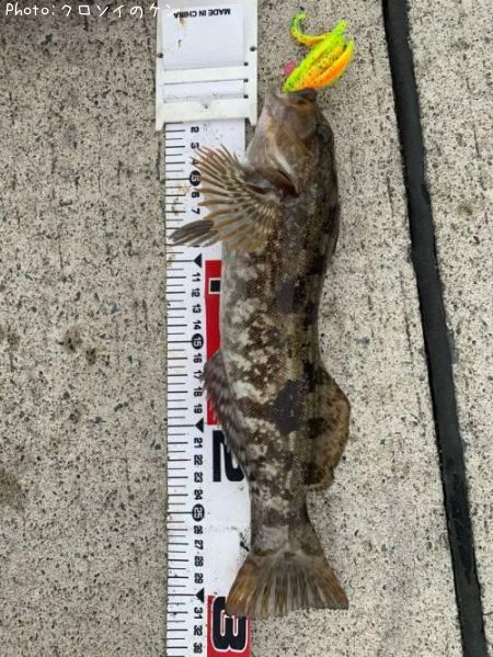 �����ʥ�