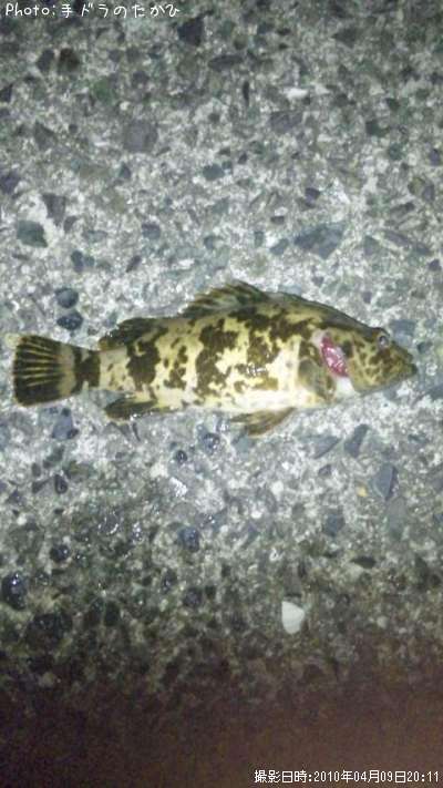 �����Υ���Х�