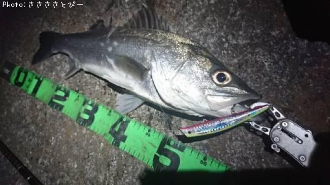 �����Х�