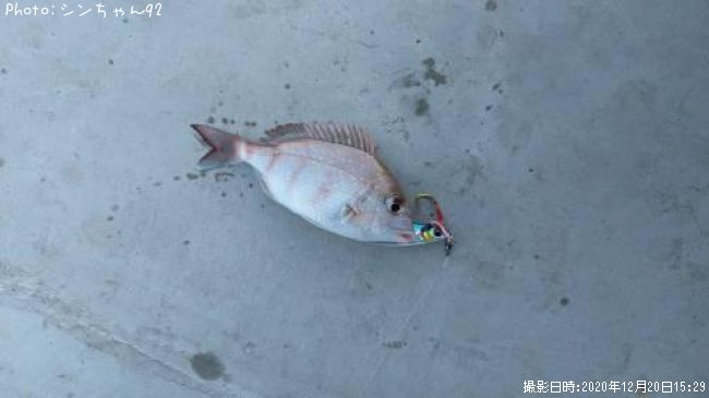 �ޥ���