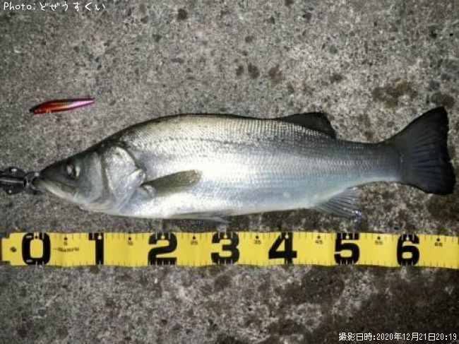 �ҥ饹����