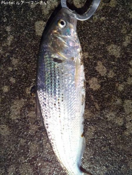 ���Υ���