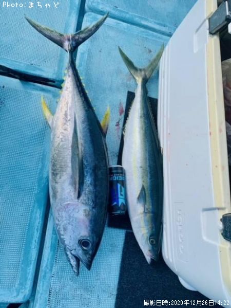 �ߡ����ӡڥ�Х��ޥ�����