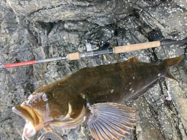 �����ʥ�