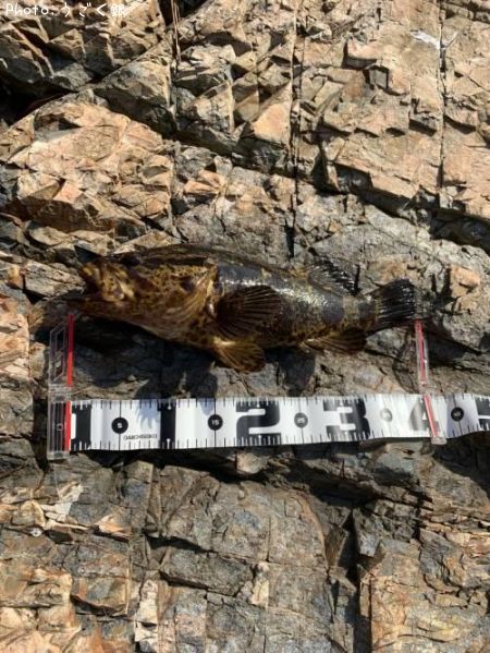 �٥å�������