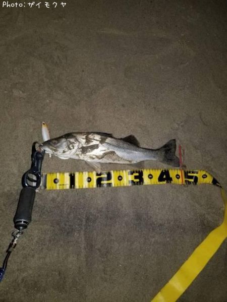 �����Х�