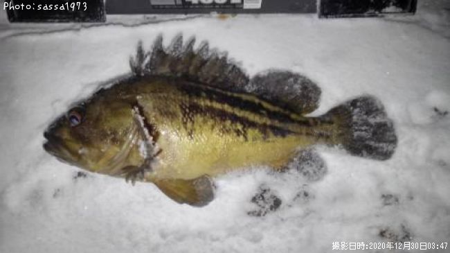 ���ޥ���