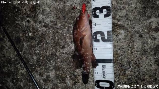 �����ϥ�