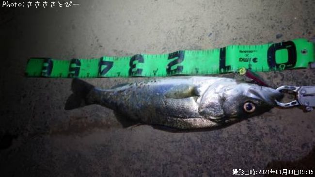 �����Х�