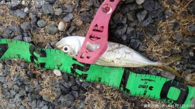 ���������ޥ�